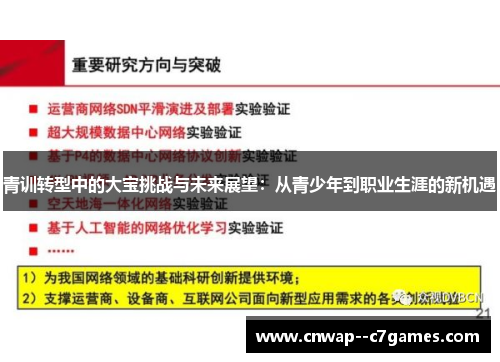 青训转型中的大宝挑战与未来展望：从青少年到职业生涯的新机遇