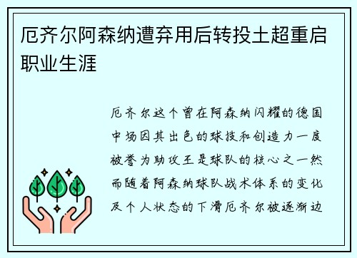 厄齐尔阿森纳遭弃用后转投土超重启职业生涯